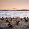 A Day At The Beach Produktbild-Vorschau 1