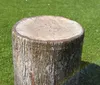 Sitzhocker - "Timberly" Produktbild-Vorschau 6
