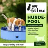 A puppy playing in a blue dog pool on a grassy lawn. Náhled obrázku produktu