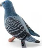 A plush toy pigeon is shown against a white background. Náhled obrázku produktu