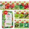 TORAF Gemüsesamen Set XXL, 2500 Samen, 12 Sorten, Garten & Produktbild-Vorschau 1