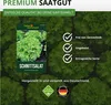 Schnittsalat Verde ricciolina da taglio Samen - Lactuca Produktbild-Vorschau 7