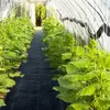 MIKONI Unkrautvlies | 100 Meter | 110 cm | Gartenvlies Produktbild-Vorschau 6