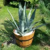 A large agave plant in a wooden barrel planter on a grassy lawn. Produktbild-Vorschau
