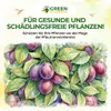 Green Guardia Schlupfwespen gegen Pflaumenwickler -3x Produktbild-Vorschau 9