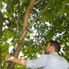 Gardena 12009-20, Pákové nůžky, 3,8 cm, Černá, Modrá Náhled obrázku produktu 13