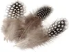 KNORR PRANDELL 216623980 Perlhuhnfedern ca. 5 cm natur Produktbild-Vorschau 1