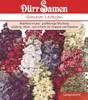 Sommerlevkoje | Sommerlevkojensamen von Dürr Samen Produktbild-Vorschau 1