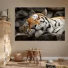 MuchoWow® Poster Tiger - Ruhend - Felsen 180x120 cm - Produktbild-Vorschau 6