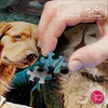 CHERRY PAZZI Puzzle Vecchi Amici 1000 pezzi Anteprima dell’immagine prodotto 6