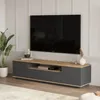TV skrinka FREY 7 borovica / sivá Náhľad obrázku produktu 2