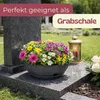 Pflanzschale Rund mit Untersetzer Blumenschale Kunststoff Produktbild-Vorschau 5