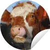 MuchoWow® Produktbild-Vorschau 1