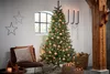 Black Box Trees Arbre de Noël Toronto - H215 x Ø132 cm - Voir les images du produit 11