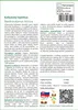 SAFLAX - kalkatský bambus - Dendrocalamus strictus - 50 Náhľad obrázku produktu 3