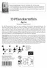 Kiepenkerl  Pflanzkartoffel Agria Solanum tuberosum 10 Produktbild-Vorschau 2