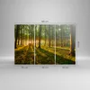 Bild auf Leinwand - Leinwandbild - Wald grün Sonnenstrahlen Produktbild-Vorschau 3