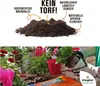 PLANTOP torffrei Pflanzerde, 60 Ltr Produktbild-Vorschau 2