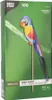 Deko-Picker 18 cm "Papagei" Produktbild-Vorschau 3