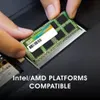 Silicon Power 8GB DDR3L SO-DIMM memory module 1 x 8 GB 1600 Anteprima dell’immagine prodotto 6