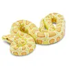 Safari Ltd Albino Burmese Python Yellow / Orange From 3 Produktbild-Vorschau 5