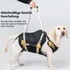 Hundetragehilfe XL für große Hunde, Reha-Geschirr mit Produktbild-Vorschau 3