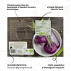 Lila Kohlrabi Samen (Milan Purple, 300 Korn) - Kohlrabi Produktbild-Vorschau 5