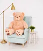 A large teddy bear sits in a light blue armchair next to a small table with a plant. Náhled obrázku produktu