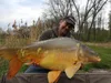 Tandem Baits 5-er Set Euro Boilies Knoblauch, Karpfen Produktbild-Vorschau 12