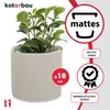 A plant in a beige pot with marketing overlays. Podgląd zdjęcia produktu