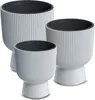 Three white ribbed plant pots of varying sizes are arranged in a group against a white background. Produktbild-Vorschau