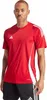 A man wearing a red Adidas t-shirt and black shorts. Anteprima dell’immagine prodotto