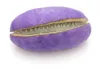 Akebia quinata, faux concombre/baie grimpante, hauteur 80 Voir les images du produit 4