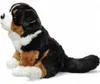 Carl Dick Cane da montagna bernese seduto, cane, circa 30cm Anteprima dell’immagine prodotto 5