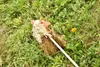 Hobby Horse Steckenpferd "Haflinger" ohne Rollen Produktbild-Vorschau 3