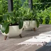 Two white planters with green plants on a wooden deck with a rug. Náhľad obrázku produktu