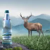 Eau minérale gazeuse NATURELLEMENT 500 ml (VERRE) - BORJOMI Voir les images du produit 5