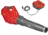 Akku Laubbläser Wolf Garten LYCOS 40/740 B 40V Set Produktbild-Vorschau 2