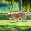 Kotbeutel, Hundekotbeutel, Hundekotbeutel mit Spender, aus Produktbild-Vorschau 7