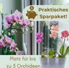 2er Set Orchideentopf Transparent Orchideen Übertopf Produktbild-Vorschau 6