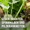COMPO  Grundstoff Brennnessel 1 Liter Produktbild-Vorschau 8