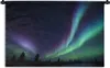 MuchoWow® Wandteppich Wandbehang Nordlichter - Park - Produktbild-Vorschau 1