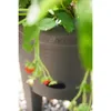 elho® Green Basics Erdbeertopf Living schwarz Ø 33 cm - Produktbild-Vorschau 7
