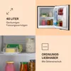 A collage of images showcasing a mini-refrigerator and its features, including capacity and organization. Produktbild-Vorschau