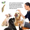 A woman is training several dogs with treats. The dogs are looking up at the treats expectantly. Produktbild-Vorschau