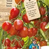 Romello F1 Tomatensamen – Züchten Sie saftige, reichhaltige Produktbild-Vorschau 1
