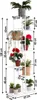 A white metal plant stand with multiple shelves, displaying various potted plants and dimensions. Náhľad obrázku produktu