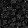 Liquirizia celtica senza zucchero Liquirizia salata extra Anteprima dell’immagine prodotto 1