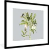 MuchoWow® Gerahmtes Poster Palme - Faultier - Tukan 40x40 Produktbild-Vorschau 1