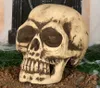 Skelet schedel, decoratie voor Halloween, griezelig Productafbeelding-voorbeeld 1